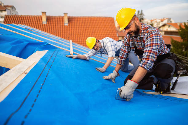 Best Flat Roof Repair Services  in Ashland, IL
